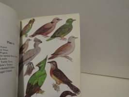 Common birds of Zambia