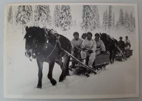 Suomenhevonen - Sotahevonen N:o 7/8, postikortti