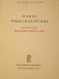 Rakas pikku kaupunki   novelleja