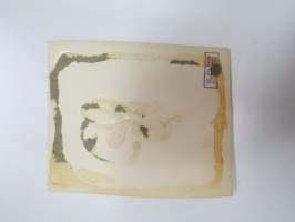 Miss &quot;Kainous&quot; keväällä 1932 (kansallispuku) -valokuva / photograph