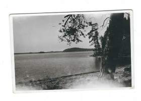 Röhön rantaa 5.7.1942 - valokuva 6x9 cm