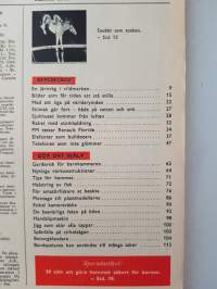 Populär Mekanik magasin 1960 Nr 3