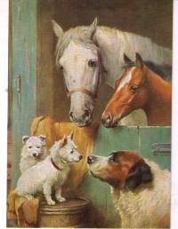 Postikortti: hevoset  ja  koirat  sulassa  sovussa / Kuvalandia