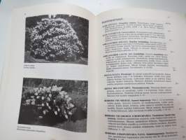 Taimihinnasto 1978 Turun taimistot Jali Lyyvaara -plant catalog