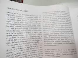Leikin pikkujättiläinen - Leikin pikkujättiläisessä on laajalti tietoa leikin olemuksesta, lumosta ja voimasta lapsen kehityksen ja oppimisen näkökulmasta