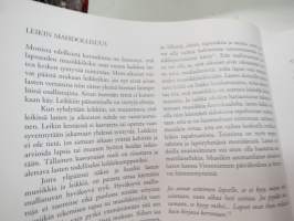 Leikin pikkujättiläinen - Leikin pikkujättiläisessä on laajalti tietoa leikin olemuksesta, lumosta ja voimasta lapsen kehityksen ja oppimisen näkökulmasta