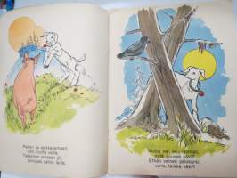 Petterin seikkailut -lastenkirja / children´s book