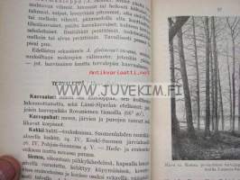 Nuorten metsäkirja I Metsäluonto