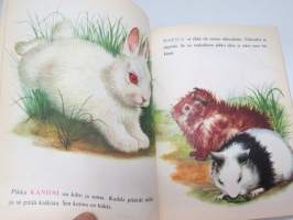 Eläinlapsia - Tammen Kultaiset kirjat nr 78 -children´s book