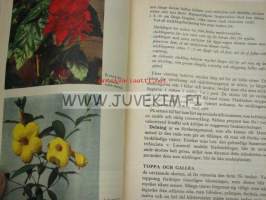 Blomster bok