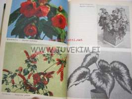 Blomster bok