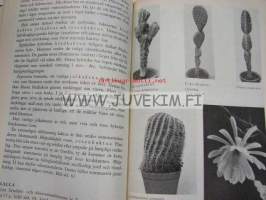 Blomster bok