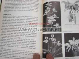 Blomster bok