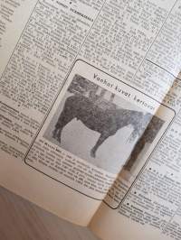 Hevosviesti torstaina huhtikuun 17 pnä 1958 N:o 16