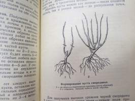 Настолная книга садовода -puutarhurin käsikirja / gardener´s handbook, in russian