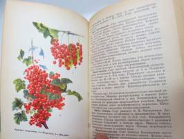 Настолная книга садовода -puutarhurin käsikirja / gardener´s handbook, in russian