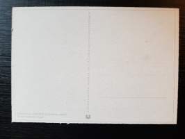 Saksalainen hävittäjä pohjoisilla vesillä -postikortti. TK-valokuvaaja Augst. Reproduktion und offsetdruck Carl Werner Reichenbach i.V.
