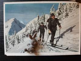 Vuoristojääkärien muodostama tiedustelupartio -postikortti. TK-valokuvaaja Baumann. Reproduktion und offsetdruck Carl Werner Reichenbach i.V.
