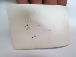 ...er? v. 1952 -valokuva / photograph