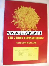 Van Zanten Chrysanthemum Hillegom-Holland