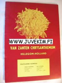 Van Zanten Chrysanthemum Hillegom-Holland