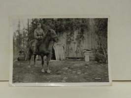 Valokuva sotilas ja hevonen