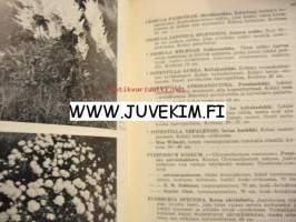 Taimihinnasto 1966