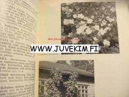 Taimihinnasto 1966