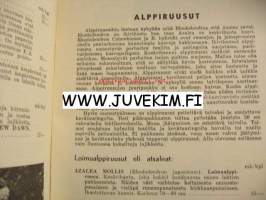 Taimihinnasto 1965