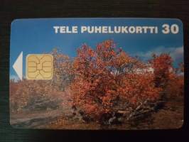Tele puhelukortti 30. Telen puhelukortilla soitat kätevästi koko maassa 1997