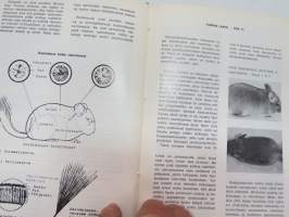 Chinchillan tarhaajan käsikirja -chinchilla farming