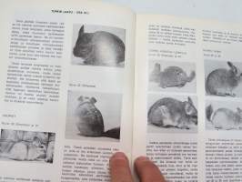 Chinchillan tarhaajan käsikirja -chinchilla farming