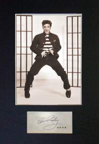Elvis Presley, canvastaulu, koko 20 cm x 30 cm. Teen näitä vain 50 numeroitua kappaletta.