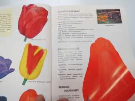 Hortus tulppaanit &amp; liljat -tuoteluettelo / flower catalog