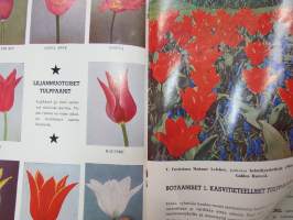 Hortus tulppaanit &amp; liljat -tuoteluettelo / flower catalog