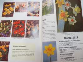 Hortus tulppaanit &amp; liljat -tuoteluettelo / flower catalog