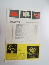 Hortus tulppaanit &amp; liljat -tuoteluettelo / flower catalog