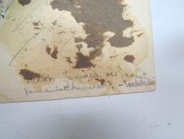&quot;Vuoden 1925 Reserviupseerit&quot; -valokuva / photograph