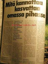 Meidän talo  6 /1979