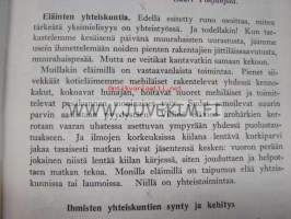 Nuorten yhteiskuntaopas