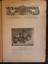 Veckans Krönika 1918 N:o 33
