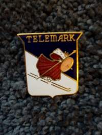 Telemark skiing -pinssi