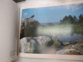 Vuoden luonnonkuvat 84 - Nature Photographs of the Year (vuoden luontokuvat 1984)