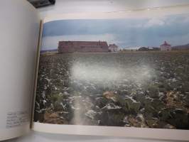 Vuoden luonnonkuvat 84 - Nature Photographs of the Year (vuoden luontokuvat 1984)