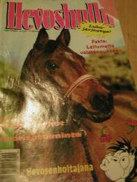 hevoshullu  2001 nr. 17