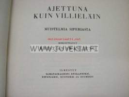 Ajettuna kuin villieläin