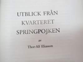 Utblick från kvarteret Springpojken - Thor-Alf Eliasson