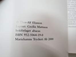 Utblick från kvarteret Springpojken - Thor-Alf Eliasson