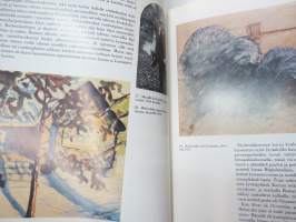 Valkoinen pöytä - Alvar Aallon nuoruus ja taiteelliset perusideat (Alvar Aalto)