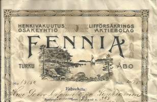 Henkivakuutusyhtiö Fennia Turku 1895 - vakuutuskirja täytetty ja blanko yht 2 kpl